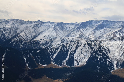 Snow-capped mountain peaks of the Talgar range, many trees grow on the slopes of the mountains, the sky is overcast, autumn in the mountains