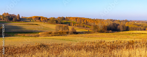 Autumn panoramic view of hills with fields and meadows with mixed forest surrounding Zagorzyce village south Sedziszow Malopolski town in Podkarpacie region of Lesser Poland photo