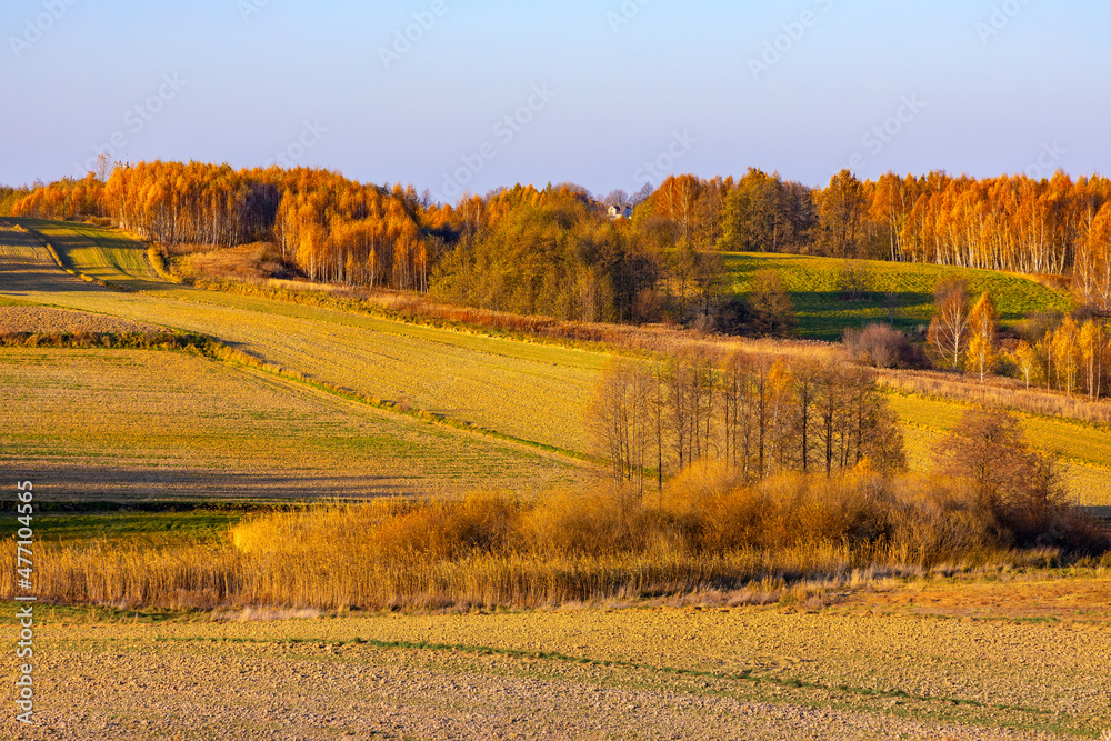 Fototapeta premium Autumn panoramic view of hills with fields and meadows with mixed forest surrounding Zagorzyce village south Sedziszow Malopolski town in Podkarpacie region of Lesser Poland
