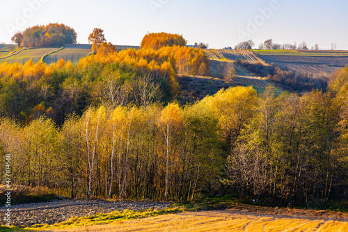 Autumn panoramic view of hills with fields and meadows with mixed forest surrounding Zagorzyce village south Sedziszow Malopolski town in Podkarpacie region of Lesser Poland