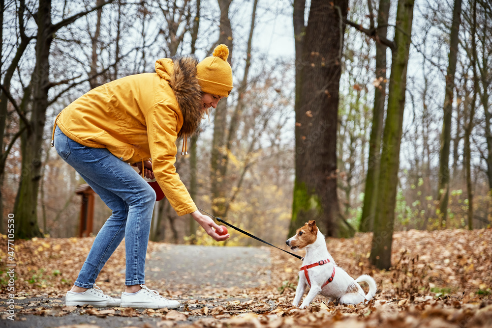Obraz premium Woman with dog walk in autumn park