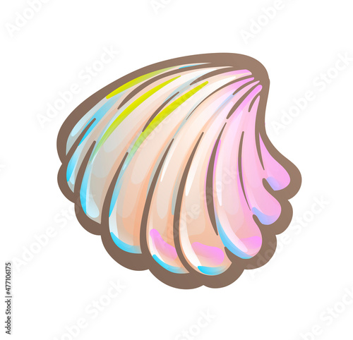 Common seashell with ribbed surface. Marine animal