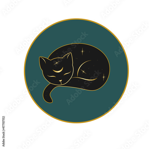 Magic cat with stars in a circle