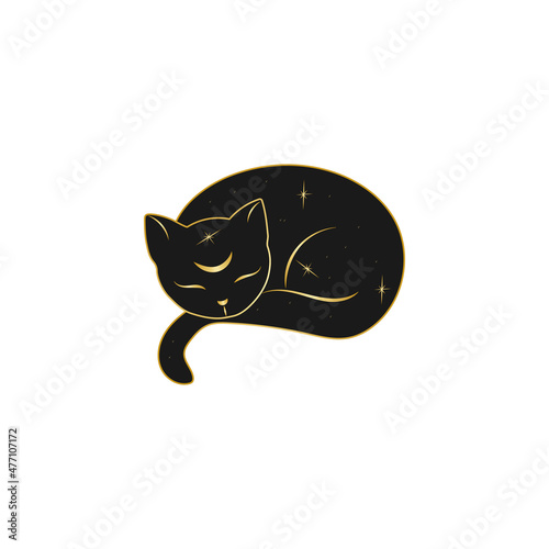 Magic cat with stars