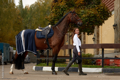 Female horseman going with her brown horse outdoor. Concept of animal care. Rural rest and leisure. Idea of green tourism. Young european woman wearing helmet and uniform © Georgii