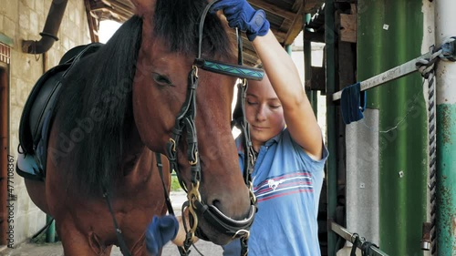 horse care. Horsewoman harnesses bay horse, prepares palfrey for horseback riding. Equitation. jockeyship. equestrianism. Equestrian sport. Horse riding.