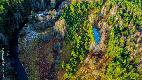 Forest and River. Aerial photography