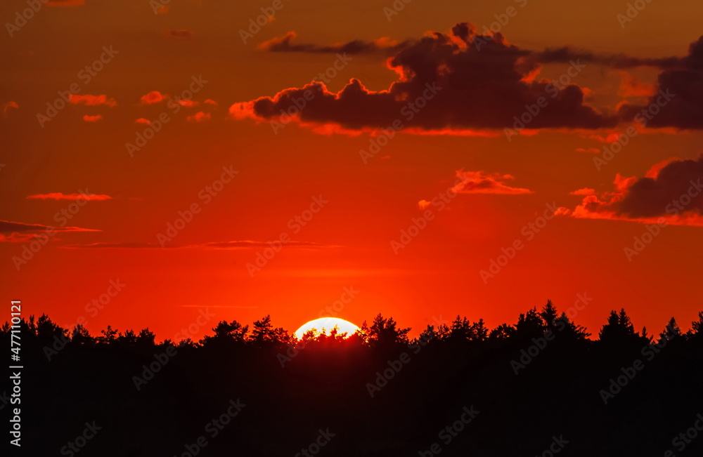 Sunset behind a coniferous forest against the sky with clouds in summer