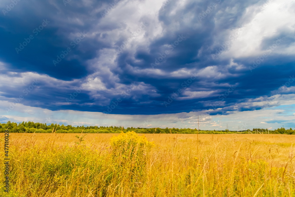 Autumn landscape with a field mown from cereals, straw rolls, a strip of forest and sky Autumn landscape with a field mown from cereals, straw rolls, a strip of forest and sky