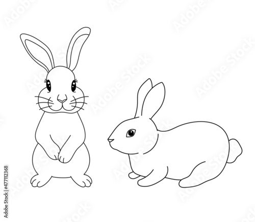 Cute rabbit in different poses. Vector illustration lovely bunny in outline style isolated on white background. Easter simbol animal for coloring page