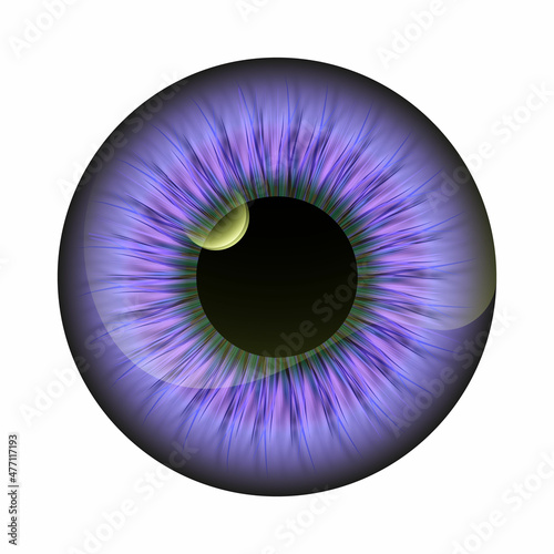 Realistic Colored eye iris pupil isolated. Vector. Very peri color