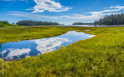 Reflection of the sky in the water of a marsh near the St Lawrence river estuary, near Sept Iles in Cote Nord region of Quebec, Canada