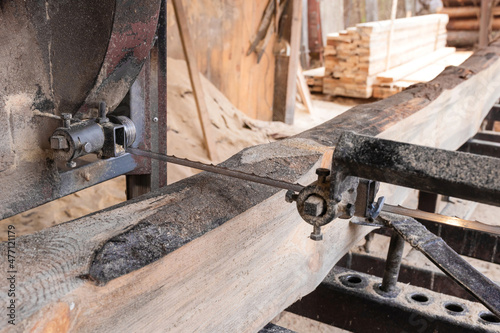 The process of processing pine wood on the equipment of a sawmill. Woodworking industry