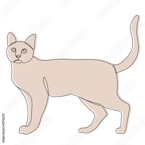 cat sketch  outline  vector  isolated