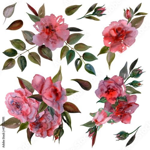 Fototapeta Naklejka Na Ścianę i Meble -  Watercolor set with flower arrangements,buds,twigs,leaves and inflorescences of pink roses isolated on white background. Elements for clothing,packaging,gifts,postcards,posters,tableware,stationery.