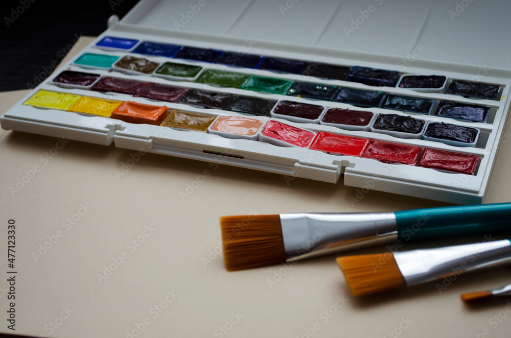 Fototapeta premium Multi tools artists paint brushes the watercolor box paints