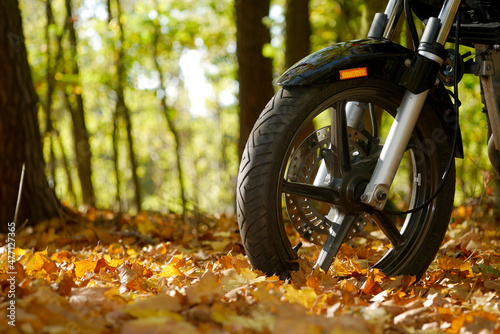 jesień, koło, motocykl