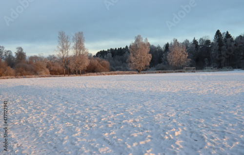Canvas Print winter mood