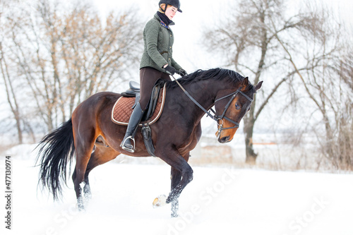 Young woman riding horse in winter park on the snow.