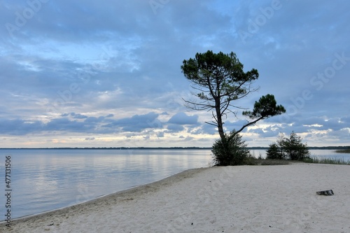 Fototapeta Naklejka Na Ścianę i Meble -  beautiful view on the lake of Cazaux in Gironde - France