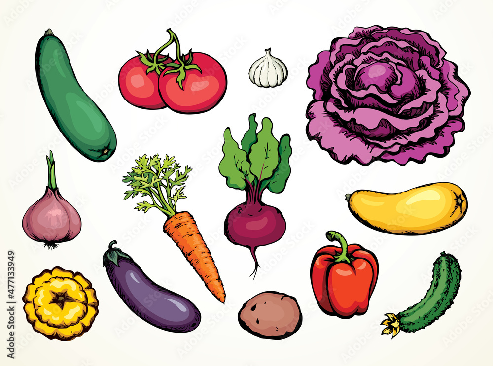 Vegetables set. Vector drawing food object Vegetables set. Vector drawing food object