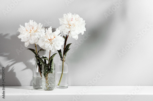 Elegant white peonies flowers on table wall background. Template for text or artwork, trendy shadows