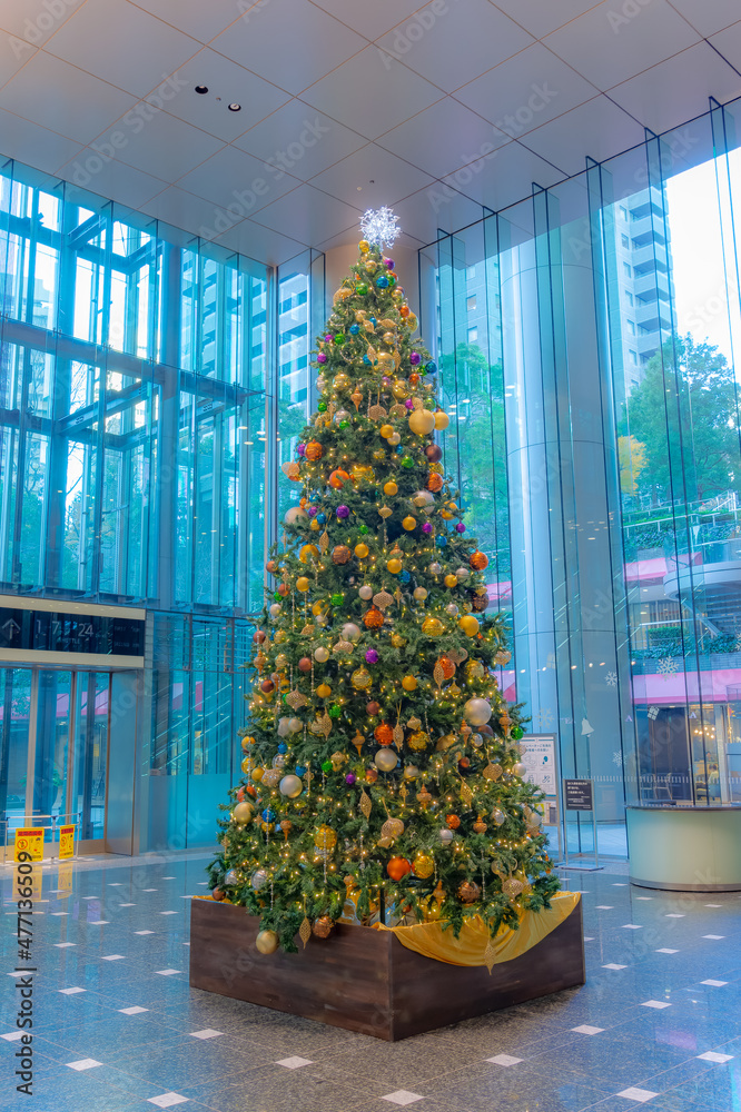 東京都港区六本木のクリスマスシーズンの景色 Stock Photo Adobe Stock