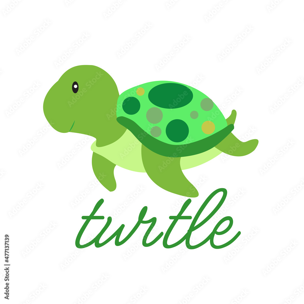 turtle turtle