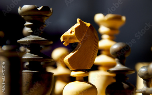 IMG_2859_chessfigures0001.jpg