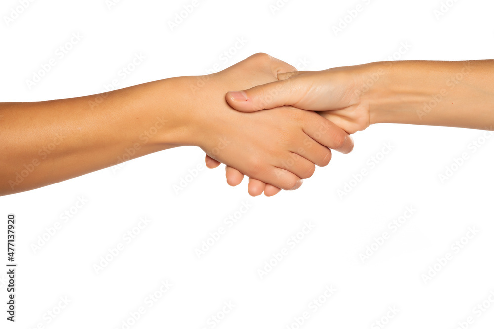 Two female hands in handshake pose, isolated on white background.