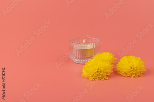 burning candle and yellow chrysanthemum on pink background