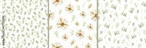 Fotografie, Obraz set of seamless pattern with spring herb, flower close-up