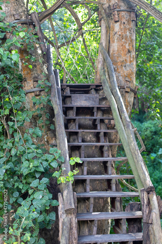 Old and dirty wood stair.