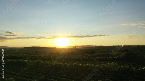 Wallpaper Mural Sunset aerial scenery of farming landscape at rural countryside. Green background and field scene. Torontodigital.ca