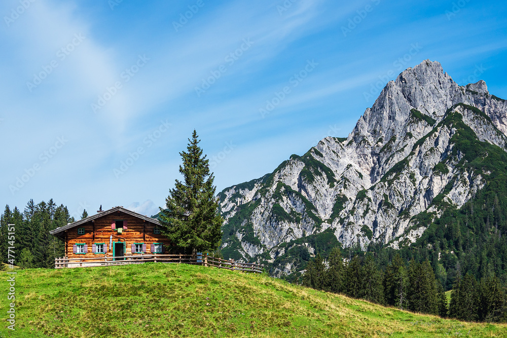 Blick auf die Litzlalm mit Hütte in Österreich