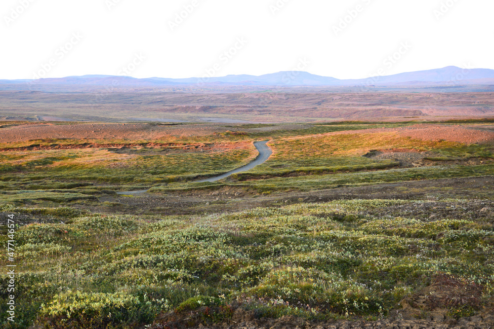 Colorful flower valley in Iceland and a road towards mountains