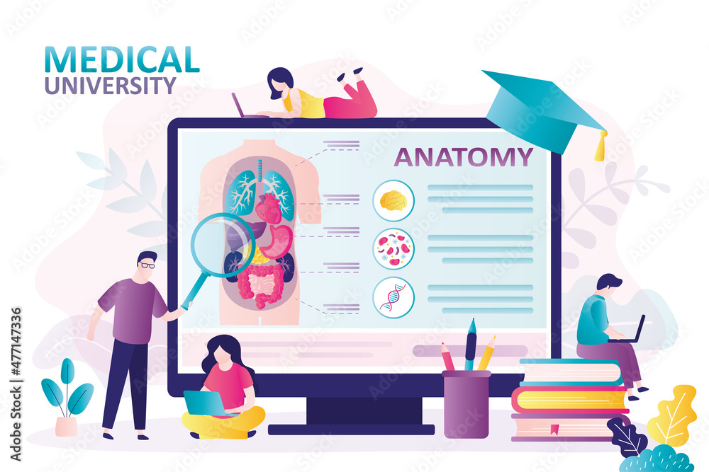 Students studying structure of human internal organs at lecture. People study remotely at medical university Students studying structure of human internal organs at lecture. People study remotely at medical university