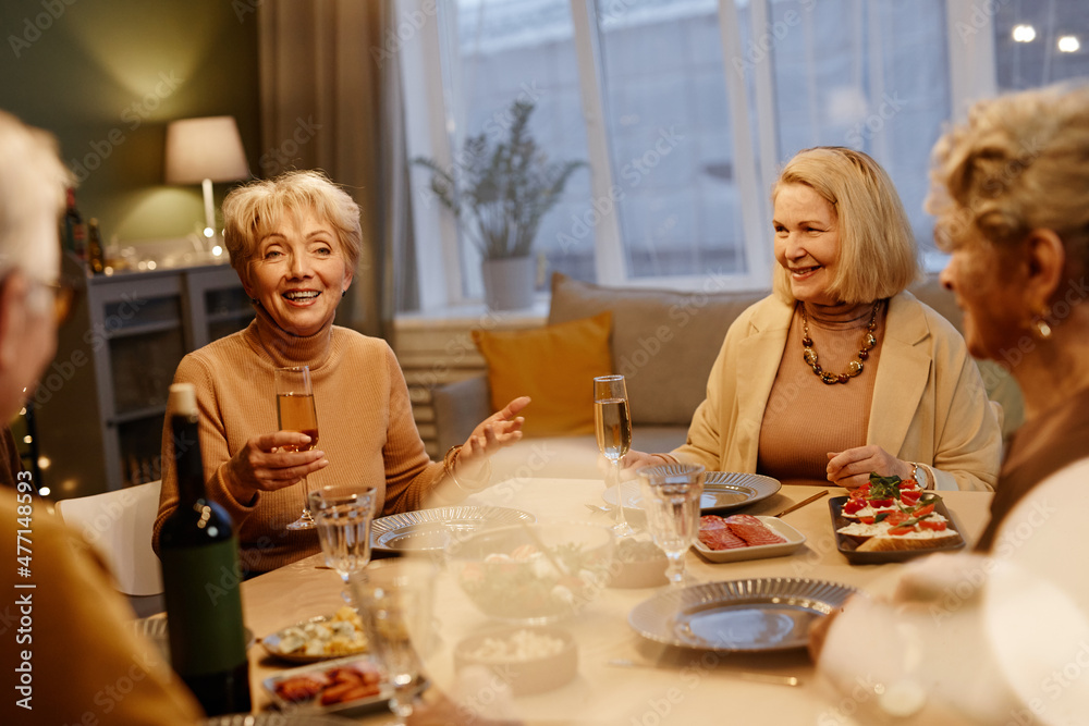 Group of senior friends gathered at dining table and having festive dinner. Beautiful aged woman making toast Group of senior friends gathered at dining table and having festive dinner. Beautiful aged woman making toast