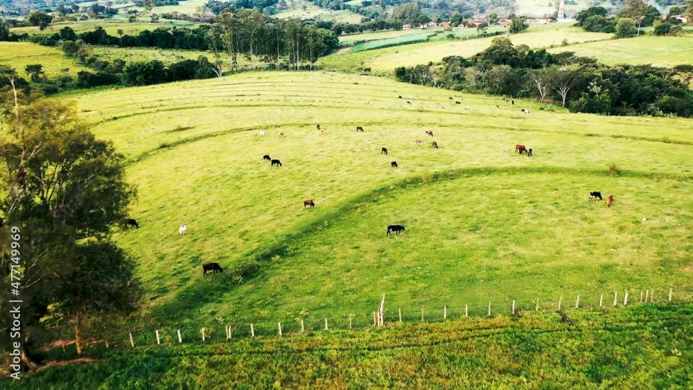 Aerial scenery of farming landscape at rural countryside. Green background and field scene. Aerial scenery of farming landscape at rural countryside. Green background and field scene.
