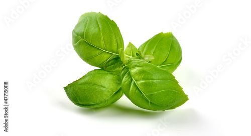 Organic Basil leaves, isolated on white background.