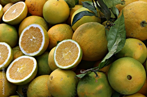 Fototapeta Naklejka Na Ścianę i Meble -  Italy, Sicily Island: Citrus fruits at the market.