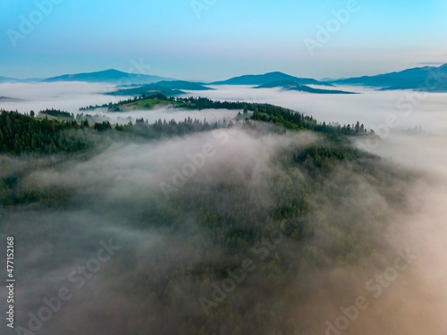 A thin morning fog covers the Ukrainian mountains. Green grass on the slopes of the mountains. A curly thin fog spreads over the mountains. Aerial drone view. © Sergey