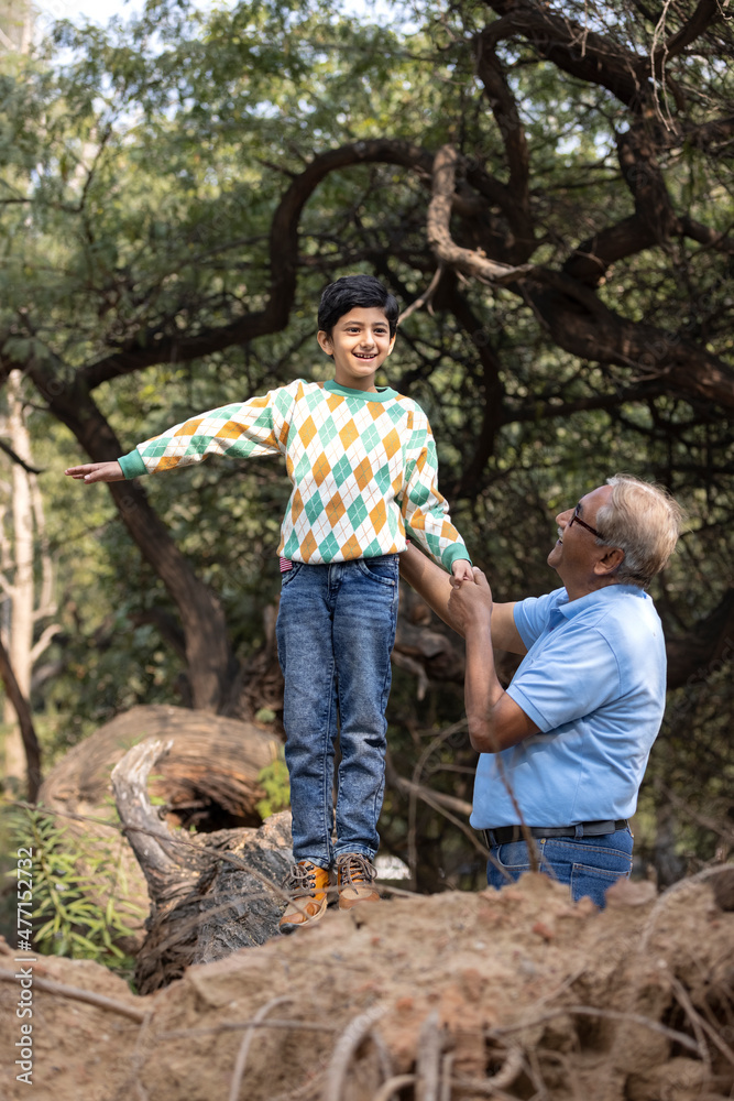 Happy grandfather helping grandson hanging from tree branch at park
Happy grandfather helping grandson hanging from tree branch at park