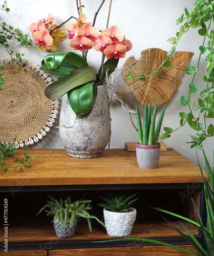 Organic indoor plant in living room on the table Stylish composition of home garden green industrial interior. Urban jungle interior with local produced houseplants. green concept for magazine. orchid photo