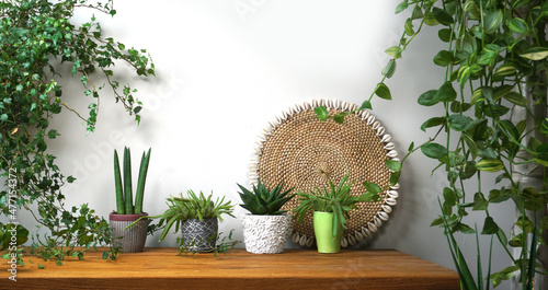 Organic indoor plant in living room on the table Stylish composition of home garden green industrial interior. Urban jungle interior with local produced houseplants.  green concept for magazine. photo