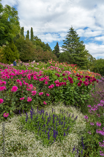 Mainau Island, Germany. Picturesque variety of colors 