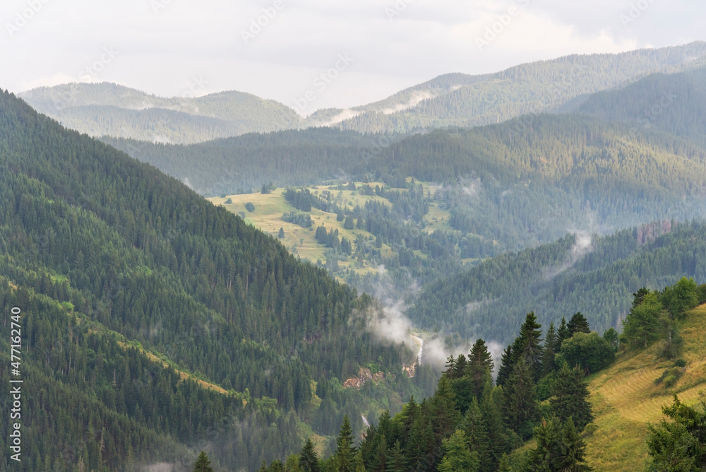Fototapeta premium Fog in the forest at Bulgaria.
