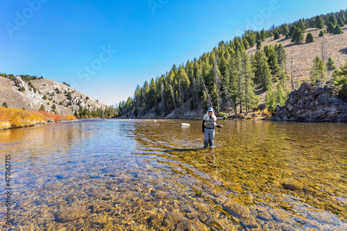 USA, Idaho, Stanley, Woman fly-fishing in Salmon River photo