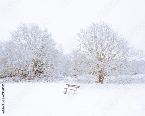 Frozen bench photo