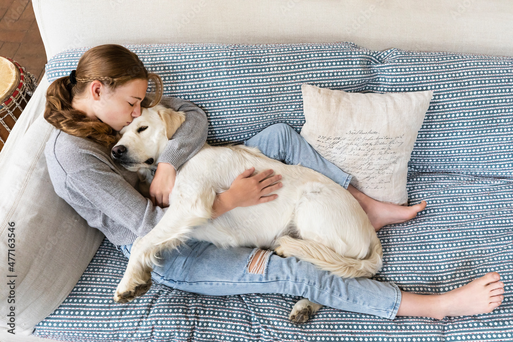teenage girl embracing her English Cream Golden Retriever on sofa teenage girl embracing her English Cream Golden Retriever on sofa